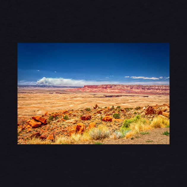 Vermilion Cliffs National Monument by Gestalt Imagery